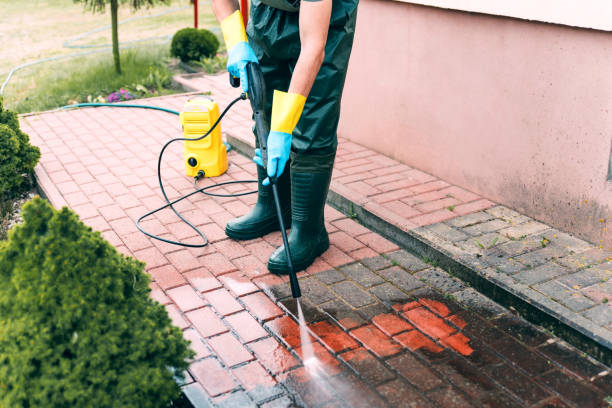 Best Roof Pressure Washing  in Poplar Grove, IL