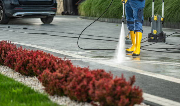 Best Pressure Washing Brick  in Poplar Grove, IL
